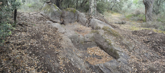 Lagar rupestre de As Penelas